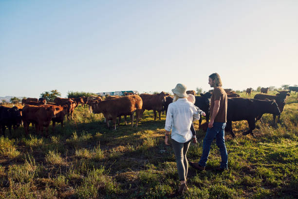 istock Raising one animal-loving kid 1290307439