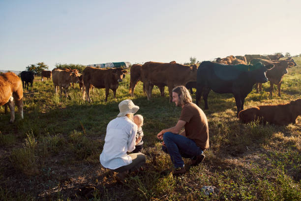 istock There are many lessons to learn from life on a farm 1290307449