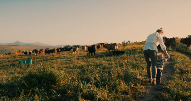 istock Always fun times on the farm 1290307458