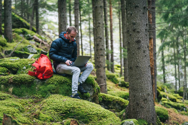 istock Young man works remotely in lush forest in the morning 1290309080