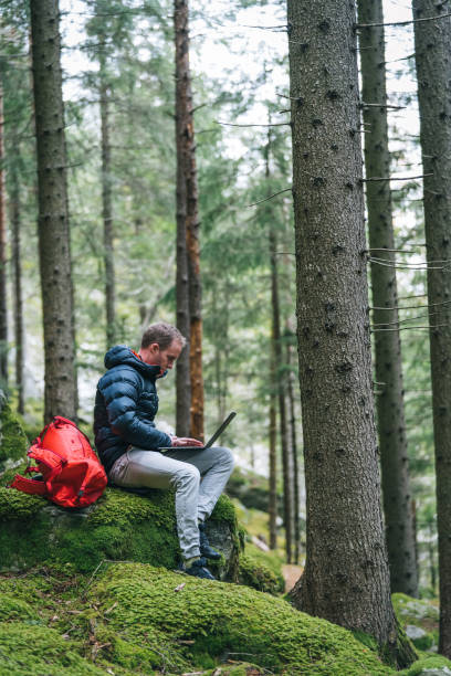 istock Young man works remotely in lush forest in the morning 1290309157