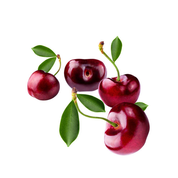 istock Fresh Sweet cherries isolated on white background. 1290311041