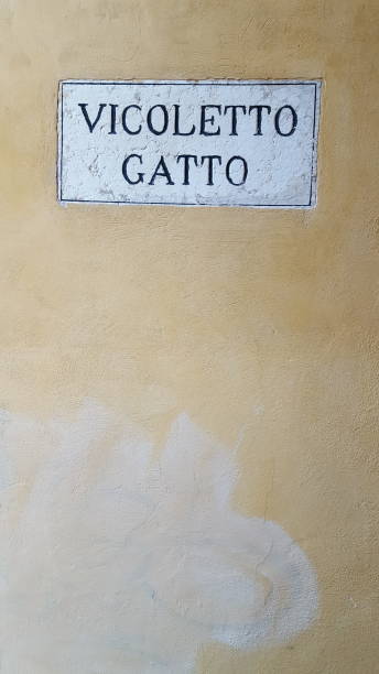 istock street sign cat 1290312593