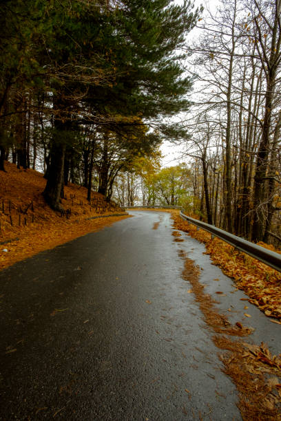 istock The way of autumn 1290314204