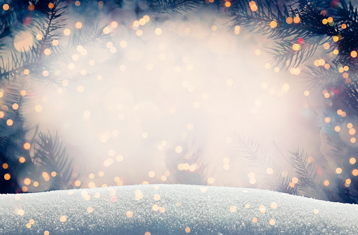 Pine tree background for Christmas decoration with snow and defocused lights