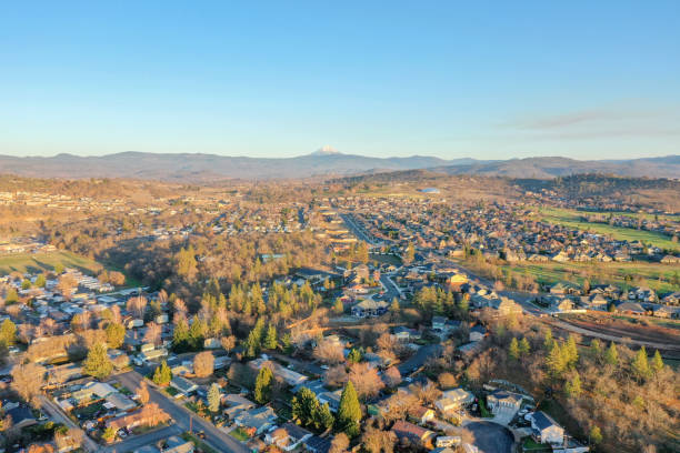 istock Peaceful town surrounded by trees with mountains as background 1290315061