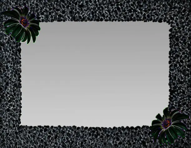 Absrtract black styled monochrome frame made of stones,dark smooth pebbles,piles of rocks with toned Osteospermum flowers in corners.Rectangular empty copy space.Closeup nature design,top view