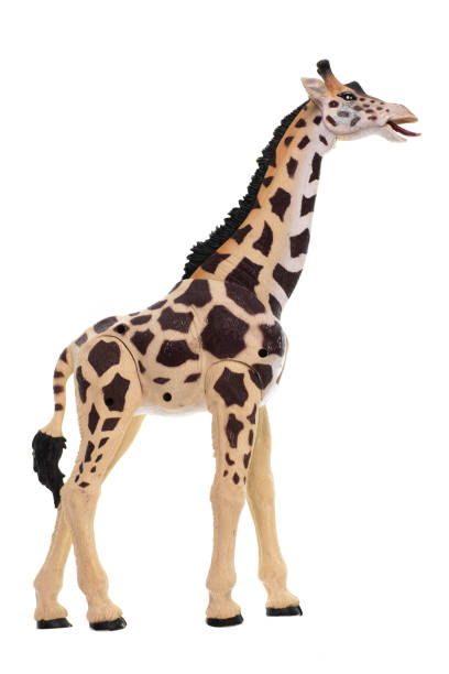 istock toy plastic giraffe isolated on white background 1290316081
