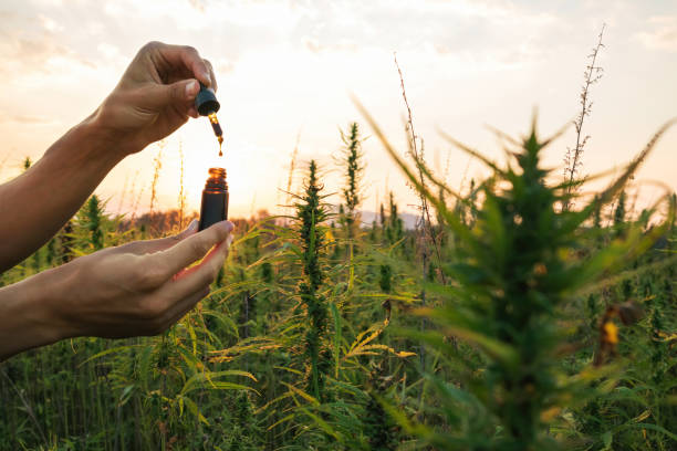 hombre sosteniendo botella de aceite cbd - narcotic medicine pill insomnia fotografías e imágenes de stock