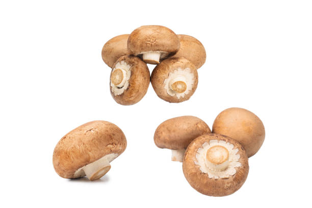 istock Tasty mushroom isolated on white background. 1290318293