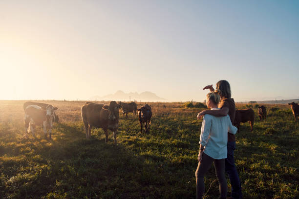 istock We put a lot of hard work into this sustainable farm 1290318379