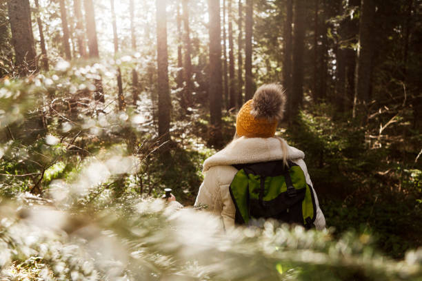 istock Hiking woman with backpack at woods 1290320390