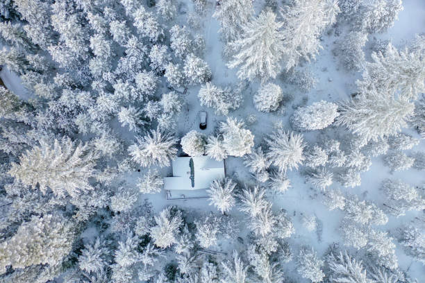 istock Cabin in the middle of a snowy forest 1290320429