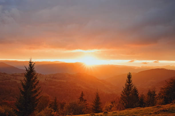 istock Beautiful sunset in mountains with pine trees on the foreground. 1290320586