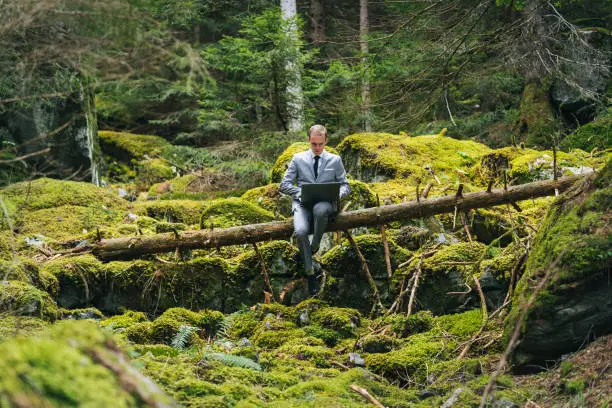 Photo of Business man works remotely in lush forest in the morning