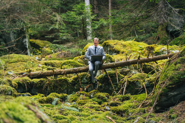 homem de negócios trabalha remotamente em floresta exuberante pela manhã - sitting area - fotografias e filmes do acervo