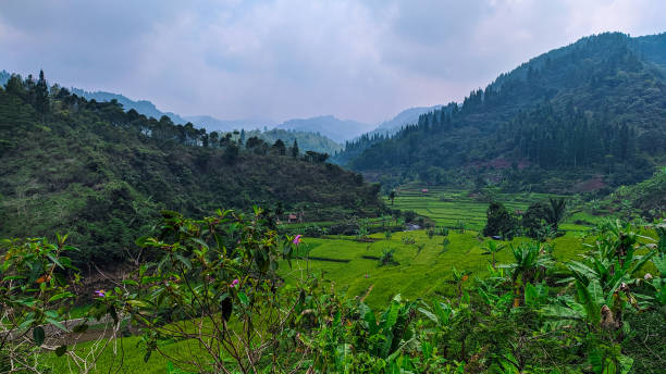 istock The view at the foot Mount Gede Pangrango 1290324647