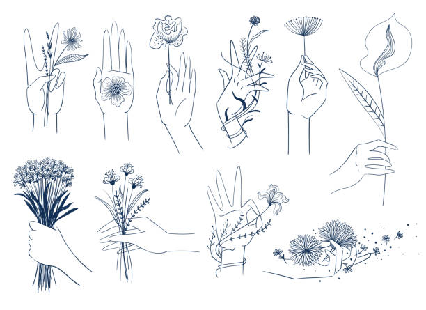 ilustraciones, imágenes clip art, dibujos animados e iconos de stock de conjunto de elegantes manos femeninas con flores - hand holding flowers