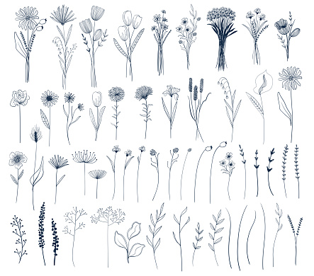 Set of isolated vector flowers and bouquets. Spring and summer line art botanical collection. Garden and wildflowers.