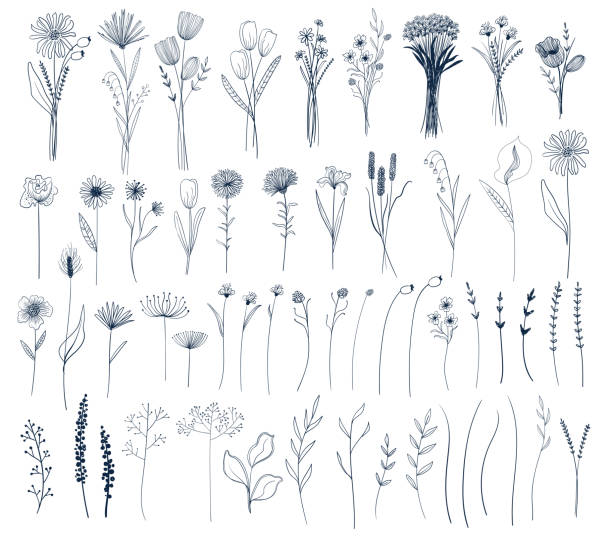 Collection Of Different Types Of Flowers Royalty Free SVG, Cliparts,  Vectors, and Stock Illustration. Image 38120315.