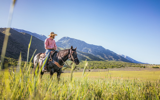 A man on horseback in Utah, looking over a grassy plain on a sunny day, with foothills of the Rocky Mountains in the background.