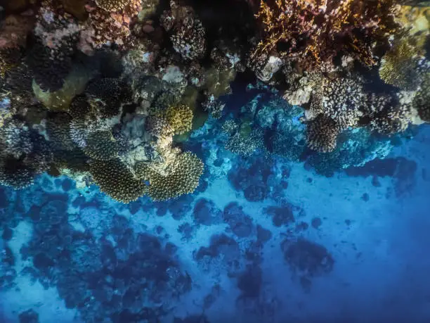 view from the watersurface over corals into the blue deep while snorkeling