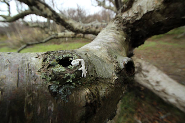 Clay figure of a ghost at the tree branch at he woods
