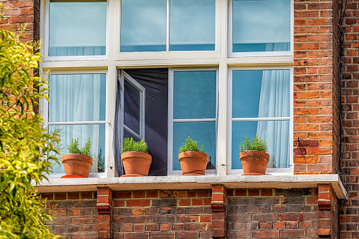 Window sill of red brick flat apartment building with gardening potted plant of rosemary herb growing in pots outside outdoors