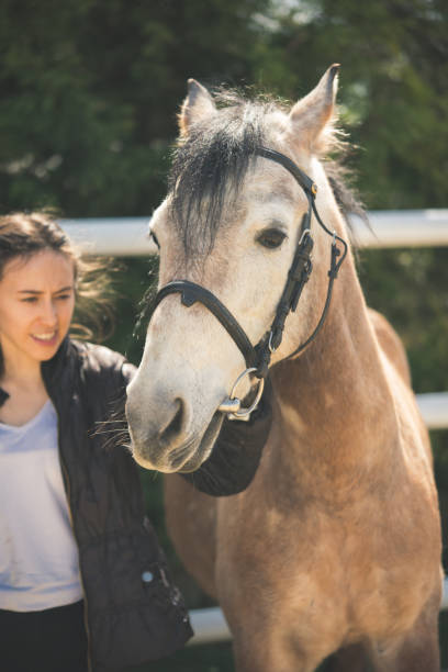 istock Female trainer with the horse 1290333386
