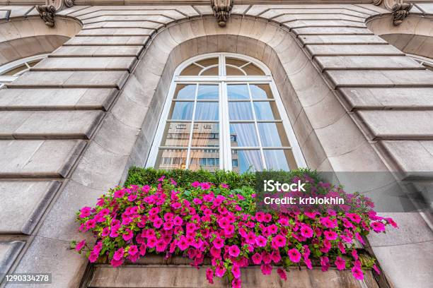 One Victorian Or Georgian Terrace Building With Stone Architecture And Potted Pot Or Basket Of Purple Pink Calibrachoa Flowers In West End United Kingdom Stock Photo - Download Image Now