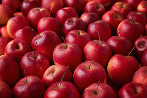 Full Frame Shot Of Red Apples stock photo