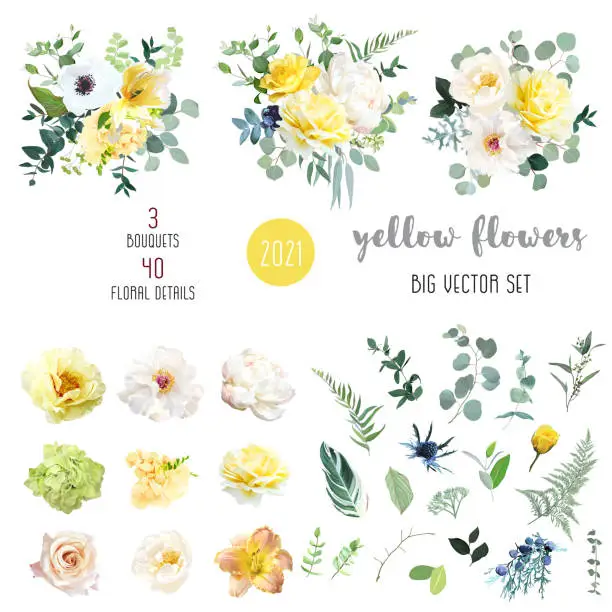 Vector illustration of Yellow rose, hydrangea, white peony, lily, anemone, spring garden flowers, eucalyptus