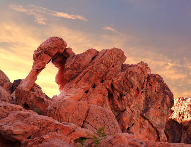 istock Elephant Rock at Sunset, Valley of Fire State Park, Nevada 1290340165