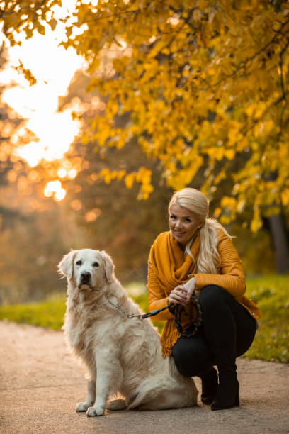 istock Woman smiling at camera while bonding with her golden retriever 1290341329