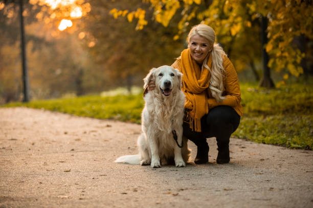 istock Golden retriever and his owner smiling at camera 1290341370