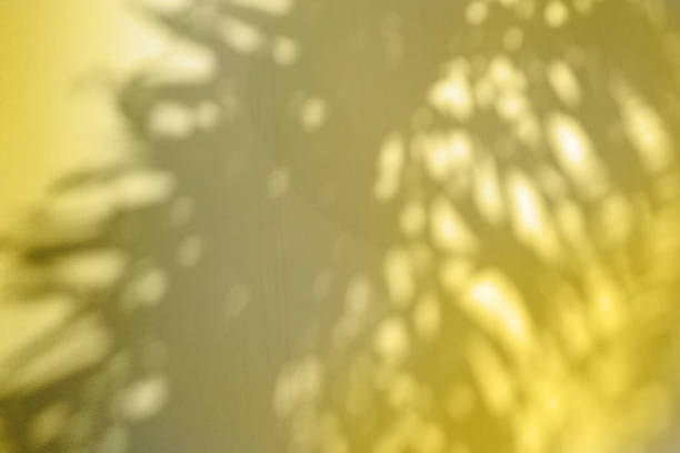 istock Abstract background of shadows palm leaves on textured light wall. 1290342618