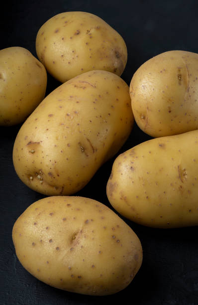Many potatoes on a black background Stacked image Dark food photography