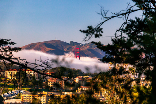 Golden Gate Bridge peeks through fog