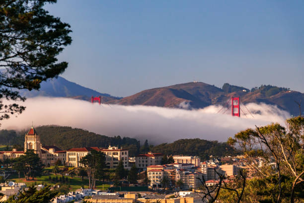 golden gate bridge guckt durch nebel - golden gate bridge bridge weather california stock-fotos und bilder