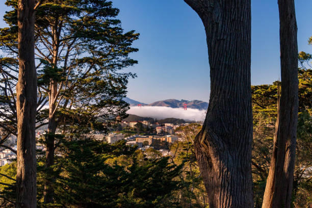 istock Golden Gate Bridge peeks through fog 1290347419