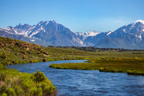 istock Mountains and stream through a grassy meadow 1290347646