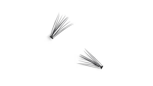False eyelashes, bundles of eyelashes, black false eyelashes, isolated on white background False eyelashes, bundles of eyelashes, black false eyelashes, isolated on white background. High quality photo clump eyelashes stock pictures, royalty-free photos & images