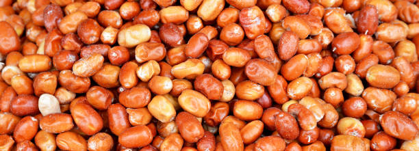 istock close-up organic and fresh oleaster fruit 1290349266