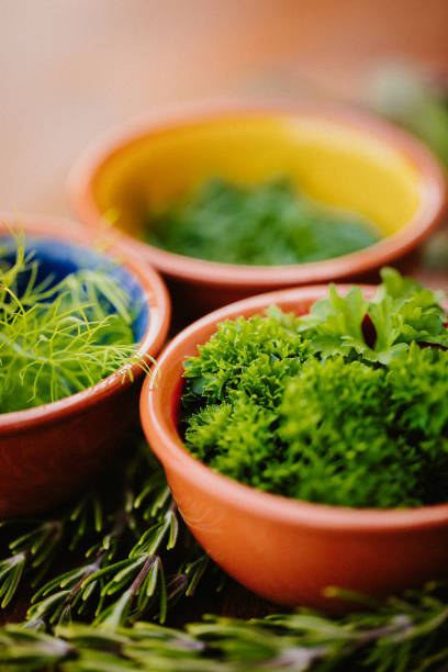 istock Different tasty herbs in bowls with focus on the parsley 1290349474