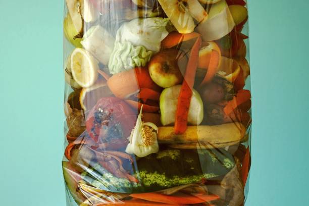 Food waste. Compostable food scraps
