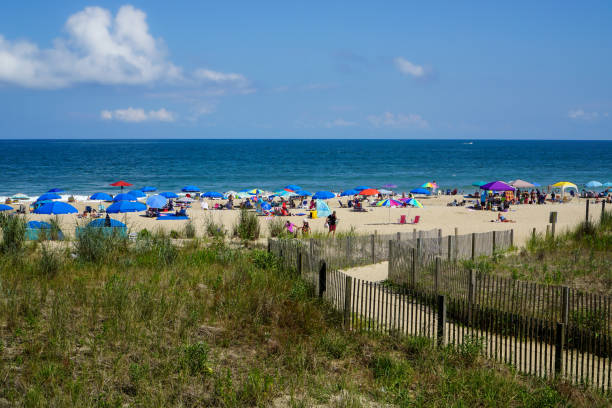 istock Dune walk to the beach 1290353222