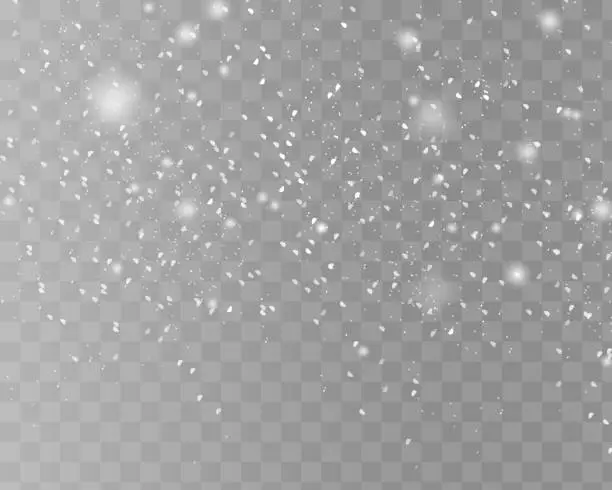 Vector illustration of Snowy landscape isolated on dark transparent background