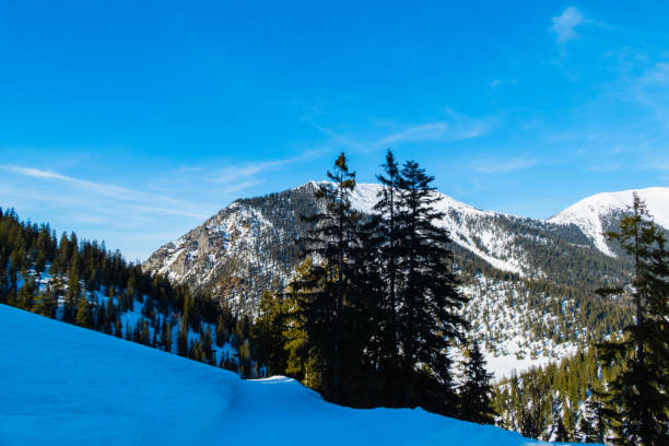 istock Landscape of Alps Bavaria Germany 1290362847