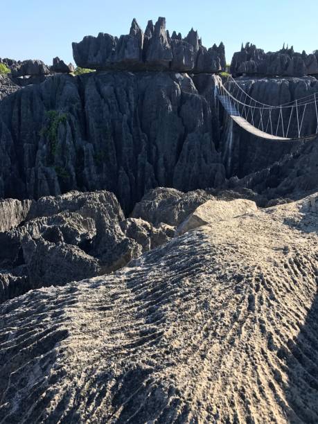 istock Great Tsingy de Bemaraha National Park at Madagascar. Mesmerizing views Stone Forest. Unique geology of  Nature Reserve Tsingy. Madagascar's labyrinth of stones. Limestone Spires. Stunning landscape. Suspension rope bridge over an abyss 150 meters. 1290367521