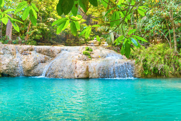 chute d’eau tropicale avec le lac d’émeraude dans la forêt de jungle - erawan national park beauty in nature waterfall photos et images de collection